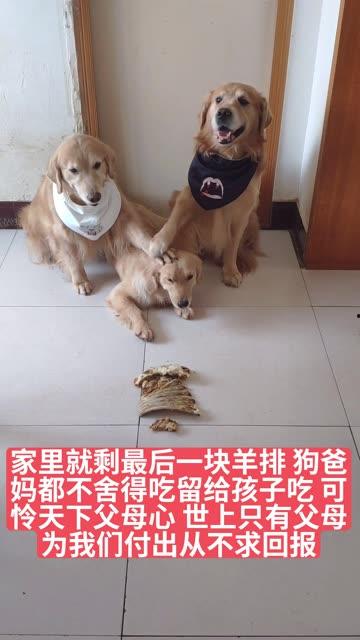 虎子快手视频,揭秘生活百态，笑对人生